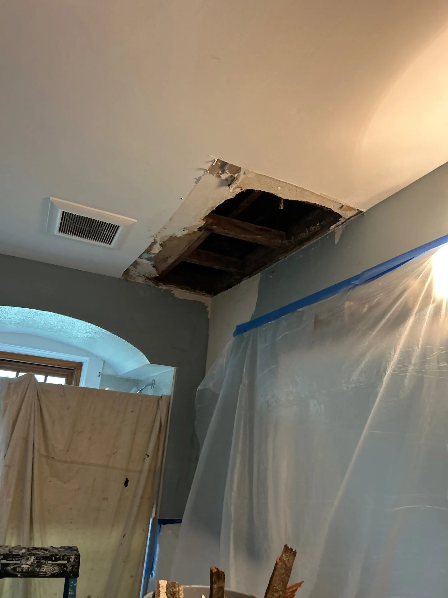 Ceiling Plaster Repair & Bathroom Refresh - before