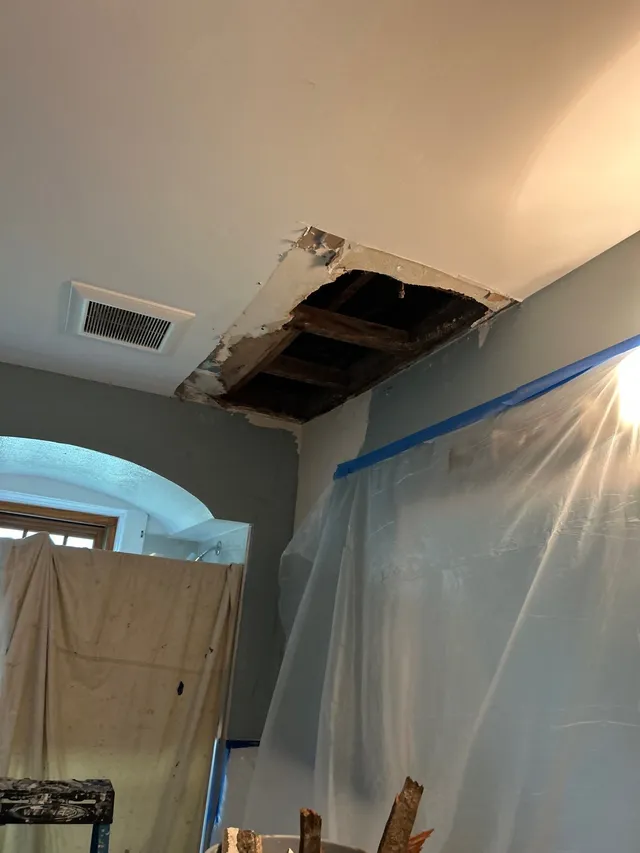 Ceiling Plaster Repair and Bathroom Refresh - before